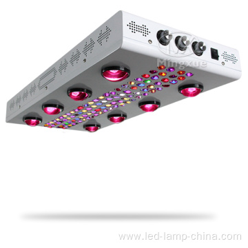 White Panel 1200w LED Grow Lights